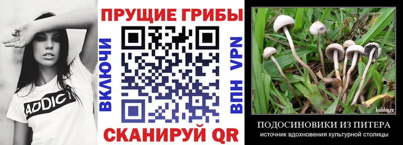 ОМГ ОМГ сайт  Белореченск  Галлюциногенные грибы Magic Shrooms  магазин   